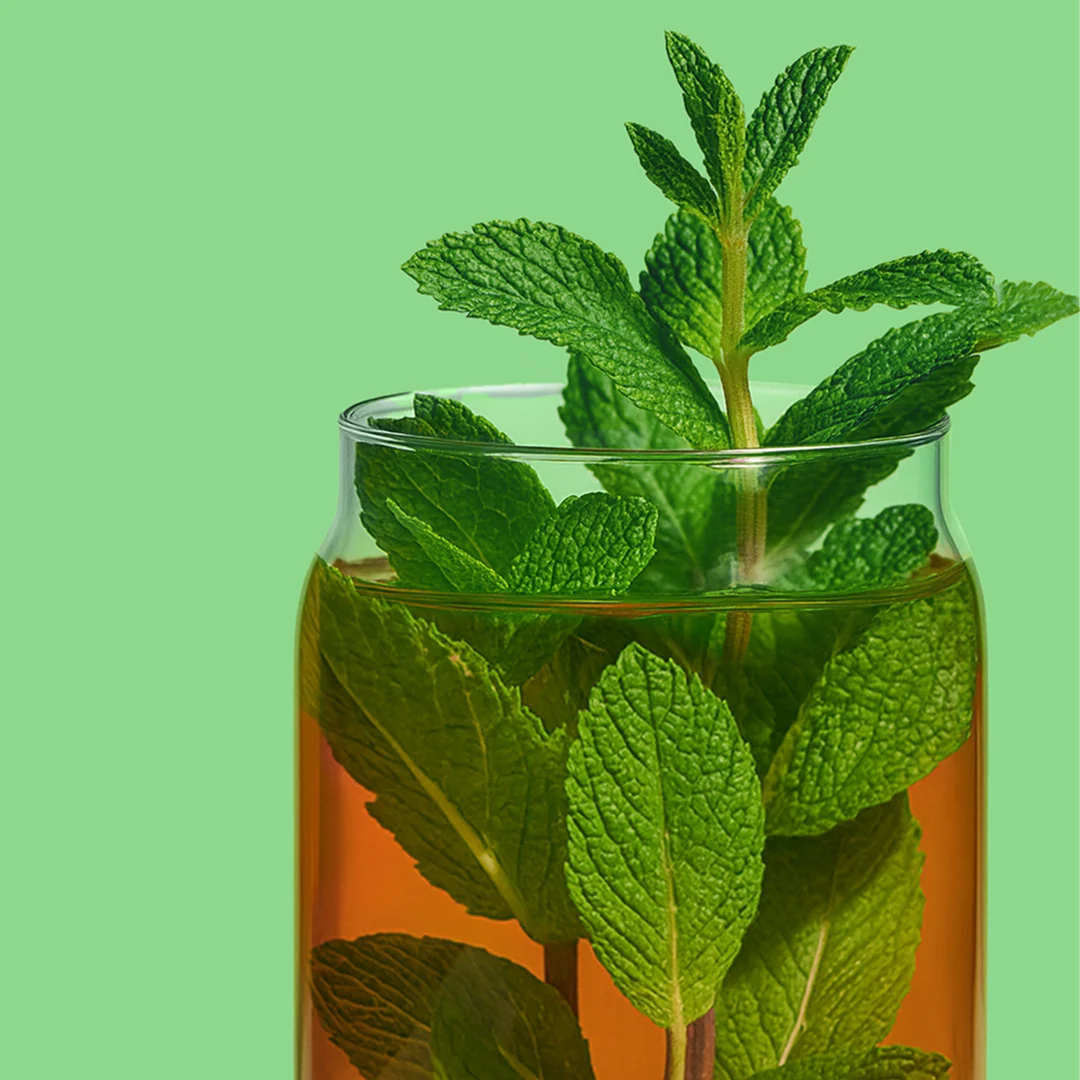DAVIDsTEA Organic Spearmint To Be Tea — SKU SB-FB6799-63FAEDD3AFE255 - Image 4